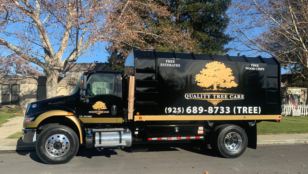Quality Tree Care Tree Services, Pruning, Tree Removal & More!